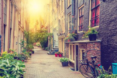 Eski bir Avrupa şehrinin dar bir caddesi. Bisiklet, çiçek süslemeleri, klasik pencere ve kapılar. Amsterdam, Hollanda, Avrupa seyahati