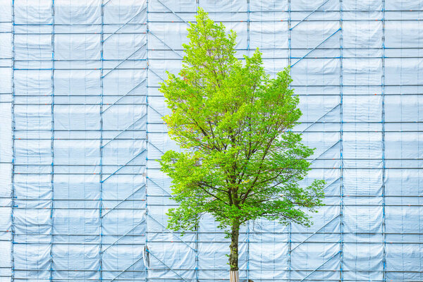 Концептуальный фон - в стадии строительства! Рост, развитие, изменение и улучшение, обновление и сохранение. Дерево является символом роста и развития. Концепция веб-баннера