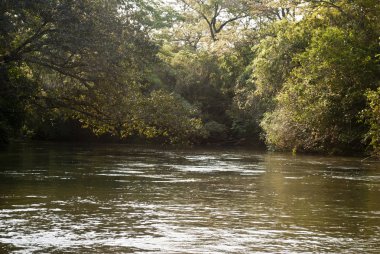 Iguazu nehir, misiones, Arjantin