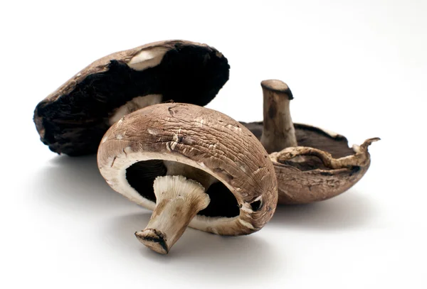 Portobello funghi — Foto Stock