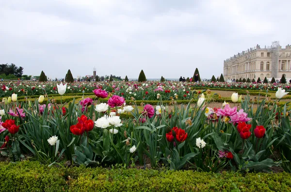 Palace versailles, Fransa — Stok fotoğraf