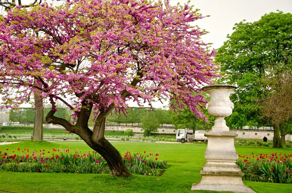 Palace versailles, Fransa — Stok fotoğraf