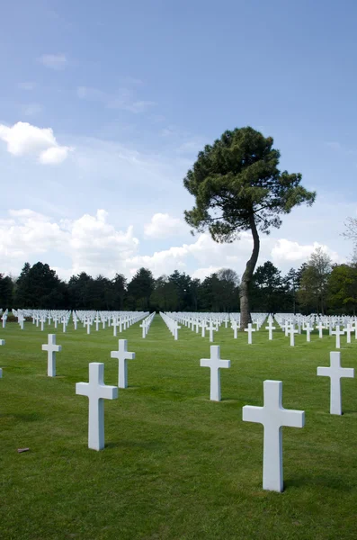 Cimetière de Normandie — Photo