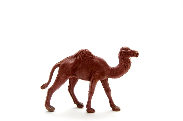 Plastic camel — Stock Photo, Image