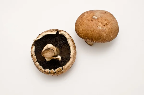 Portobello-Pilz — Stockfoto