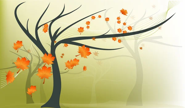 Árvore de bordo de outono com folhas caindo —  Vetores de Stock