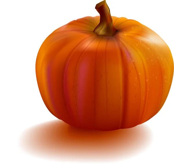 Pumpkin realistic with mesh — Stock Vector