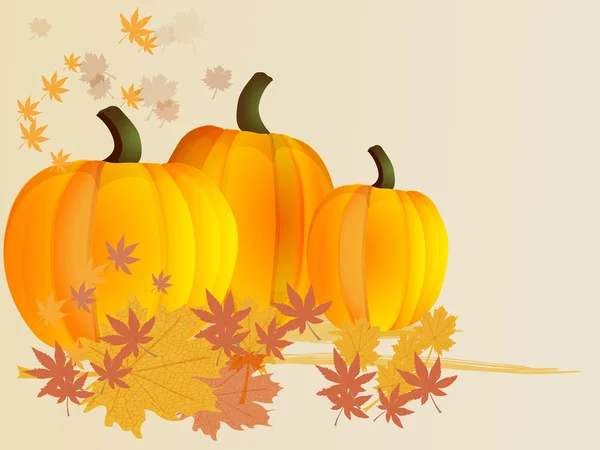 Calabazas con hojas. Fondo de otoño. Vector . — Archivo Imágenes Vectoriales