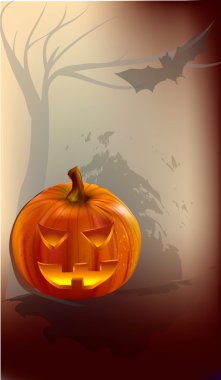 Cadılar Bayramı Balkabağı