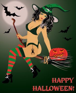 halloween cadı uçan bir süpürge, vektör çizim