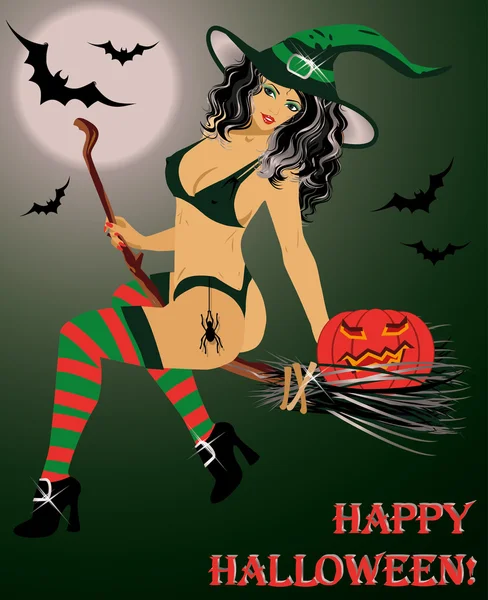 Halloween čarodějnice létající na koštěti, vektorové ilustrace — Stockový vektor