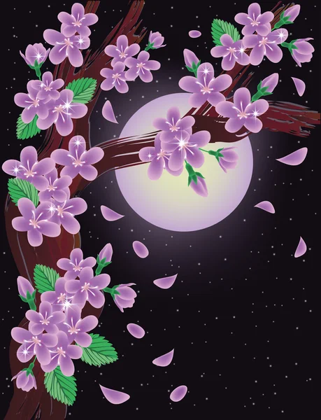Flores de cerejeira no fundo do céu noturno, ilustração vetorial — Vetor de Stock
