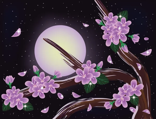 Sakura blossoms on night sky background, vector illustration — Stock Vector