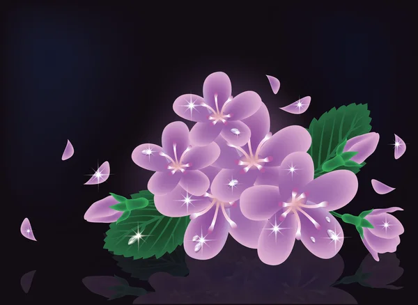 Sakura tarjeta de flores, ilustración vectorial — Archivo Imágenes Vectoriales