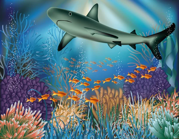 Fondo de pantalla submarino con tiburón. ilustración vectorial — Archivo Imágenes Vectoriales