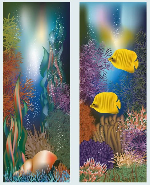 Banderas del mundo submarino con concha marina, ilustración vectorial — Archivo Imágenes Vectoriales