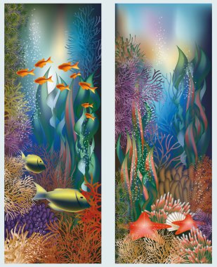 Deniz yıldızı, vektör çizim ile sualtı afiş