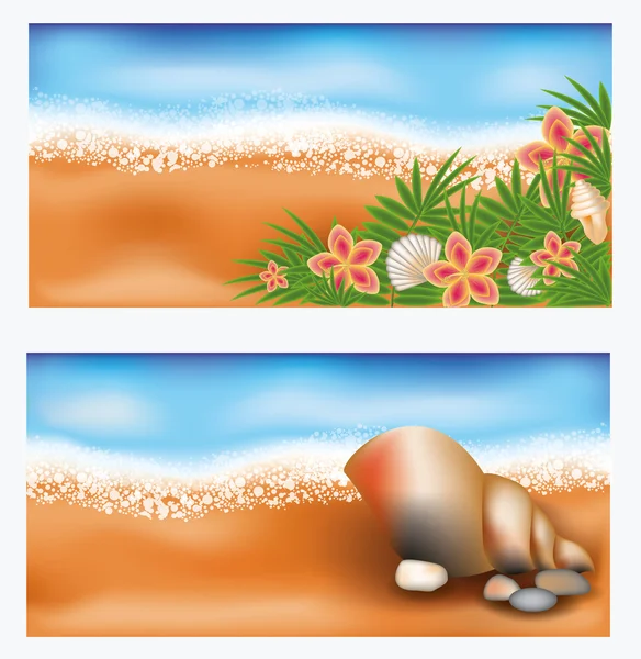 Sommaren tropic banners med blommor och musselskal, vektor illustration — Stock vektor