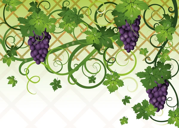 Banner de otoño de temporada con uvas, ilustración vectorial — Vector de stock