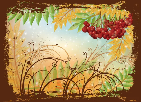 Autumn postcard with red rowan berry, vector illustration — Stock Vector