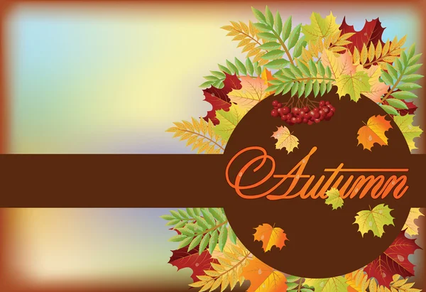 Autumn season banner, vector illustration — ストックベクタ