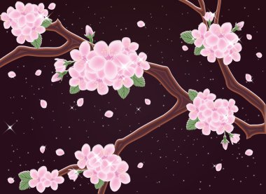 Bahar sakura gece kart, vektör çizim