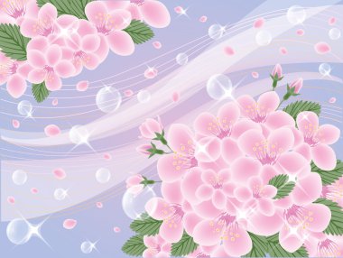 Bahar sakura kartı, vektör çizim