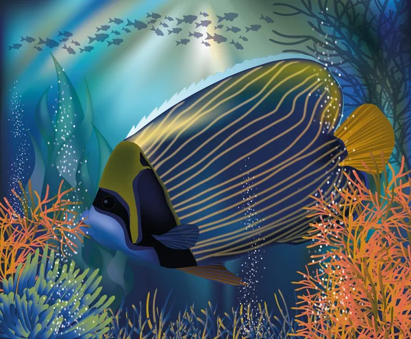 Papel de parede subaquático mundo tropical, ilustração vetorial — Vetor de Stock