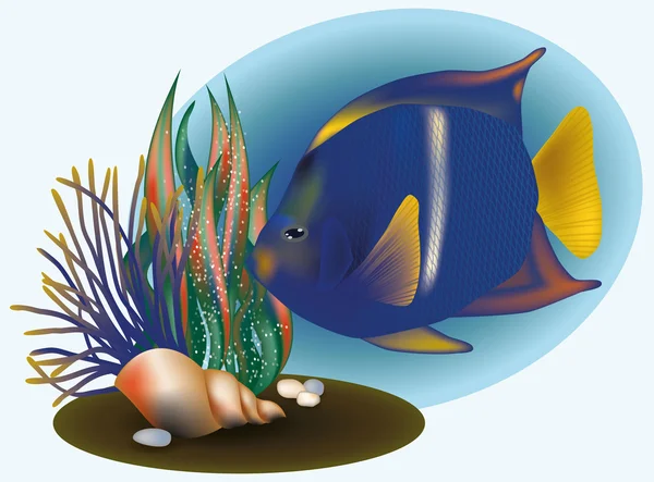 Tropikal balık ve deniz kabuğu, vektör çizim ile deniz yaşamı — Stok Vektör