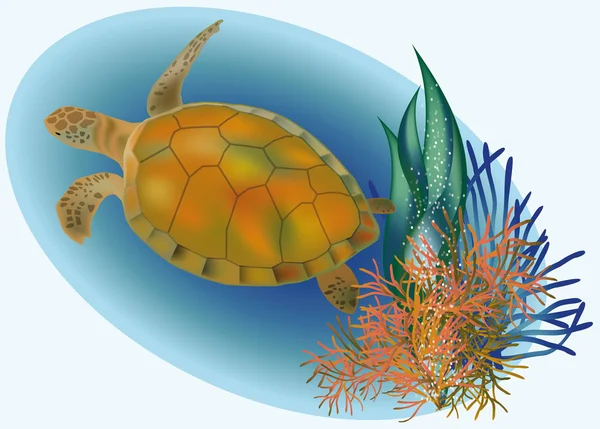 Marine life with turtle, vector illustration