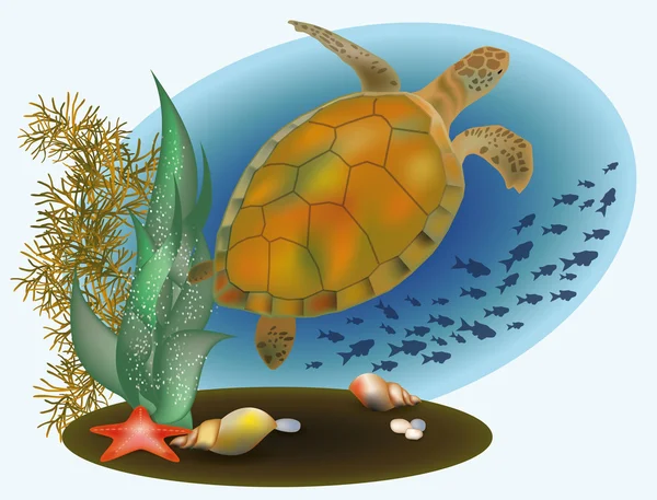 Vie marine avec tortue et étoile de mer, illustration vectorielle — Image vectorielle