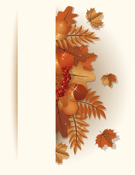 Seasonal autumn banner, vector illustration — Stock Vector