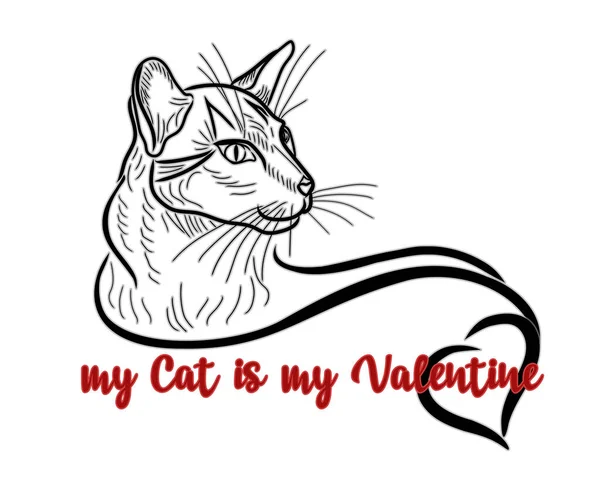 Meine Katze Ist Mein Valentinstag Einladungskarte Vektorillustration — Stockvektor