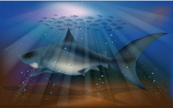 Unterwasserkarte Mit Hai Vektorabbildung — Stockvektor