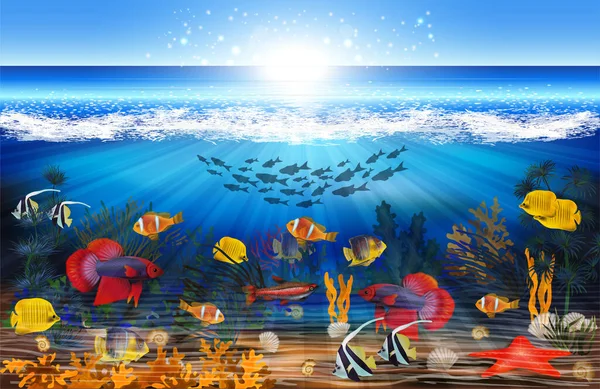 Tropikal balık ve yosunlu su altı duvar kâğıdı. vektör illüstrasyonu