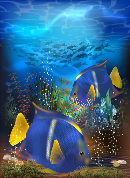 Unterwasser Tropische Einladungskarte Mit Blue Tang Fisch Vektorillustration — Stockvektor