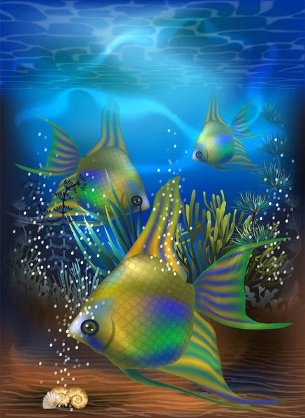 Carta Tropicale Subacquea Con Pesce Angelo Smeraldo Illustrazione Vettoriale — Vettoriale Stock