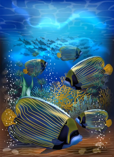 Cartão Tropical Subaquático Com Amarelo Azul Angelfish Imperial Ilustração Vetorial — Vetor de Stock