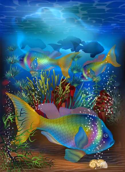 Kırmızı Tropikal Balıklı Sualtı Kartı Vektör Çizimi — Stok Vektör