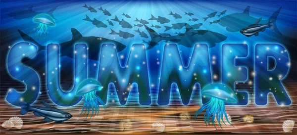 Summer Carte Sous Marine Avec Requin Illustration Vectorielle — Image vectorielle