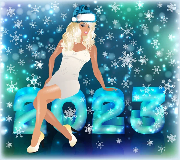 New 2023 Year Winter Sexy Santa Claus Girl Vector Illustration — ストックベクタ