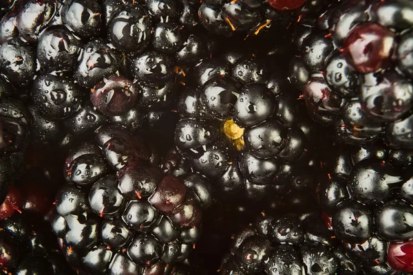 Blackberries closeup — Stock Photo, Image