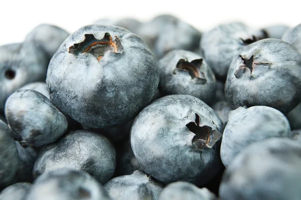 yaban mersini yığın