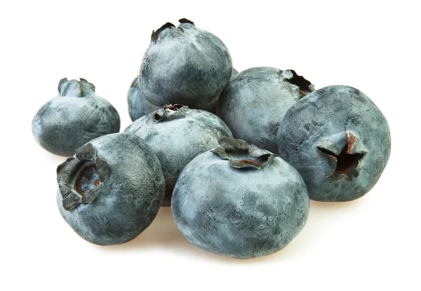 Blueberry groep — Stockfoto