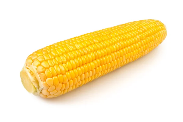 Одномісний кукурудзи — стокове фото
