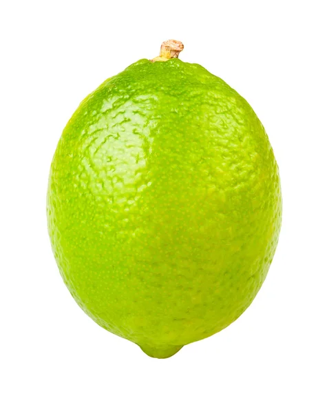 One lime lemon — Stock Photo, Image