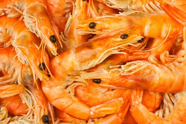 Shrimps — Stock Photo, Image