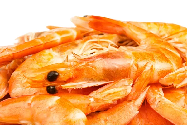 Shrimps heap — Stock Photo, Image