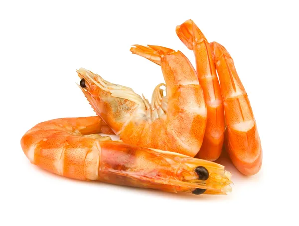 Shrimps group — Stock Photo, Image
