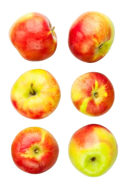 사과 다양 한 — 스톡 사진